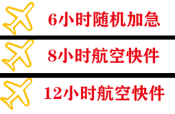 首都空运代理快递公司,专业空运当天件